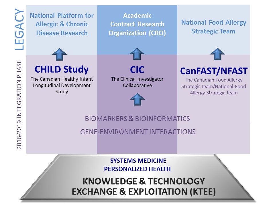 AllerGen's Integrated Research Strategy