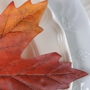 maple leaf on plate