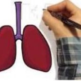 Still from video of hand drawing lungs